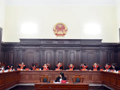 Công bố 11 án lệ mới