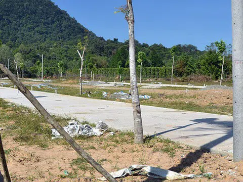 Phó Thủ tướng yêu cầu xử lý hình sự các vi phạm về đất đai tại Phú Quốc