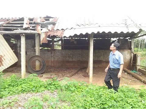 Bản án oan nghiệt đẩy doanh nhân giỏi vào cảnh khánh kiệt