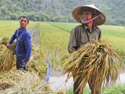 Bảo hiểm xã hội cho nông dân - những khó khăn, vướng mắc cần tháo gỡ