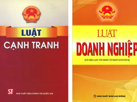 Hai vụ kiện “đình đám” và những vấn đề pháp luật về cạnh tranh, góp vốn cần lưu ý