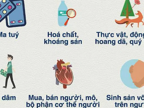 Quy định với những ngành nghề cấm đầu tư, kinh doanh