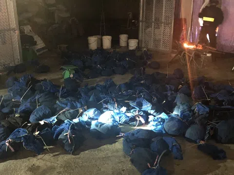 C03 triệt phá đường dây mua bán, vận chuyển động vật hoang dã tại Hà Tĩnh