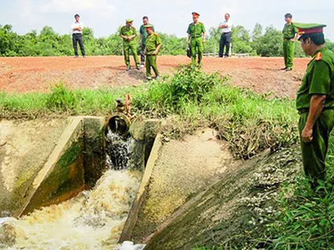 Hình phạt đối với pháp nhân thương mại