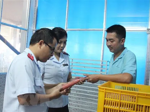 Ngành Thanh tra triển khai hơn 7.100 cuộc thanh tra hành chính và hơn 219.700 cuộc thanh tra, kiểm tra chuyên ngành