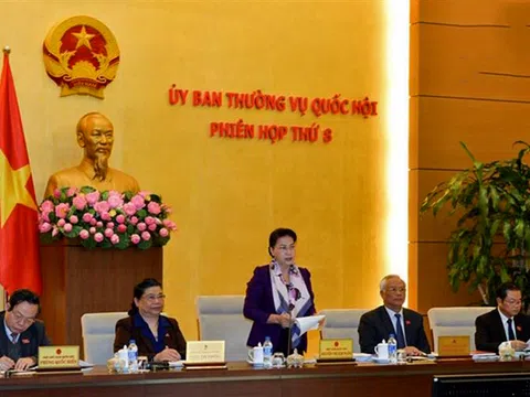 Quyết định cử Ủy viên Hội đồng tuyển chọn, giám sát Thẩm phán quốc gia tại Phiên họp 30 UBTVQH