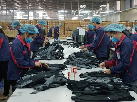 Những quy định pháp luật liên quan đến hành vi vi phạm trong lĩnh vực BHXH, BHYT, BHTN