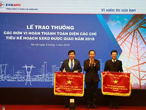 Chào Xuân Kỷ Hợi 2019 - Tổng công ty Điện lực miền Bắc hướng đến sự hài lòng khách hàng