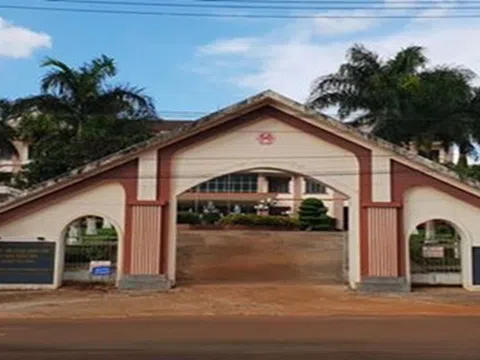 Khởi tố nguyên Phó Chủ tịch huyện lấn chiếm đất rừng