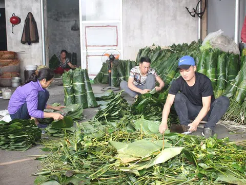 Làng bánh chưng ở Thủ đô