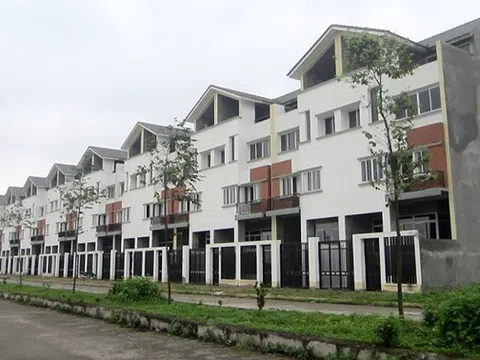 Thủ tướng Chính phủ chỉ đạo kiểm tra, xử lý 2.000 ha đất bỏ hoang tại huyện Mê Linh