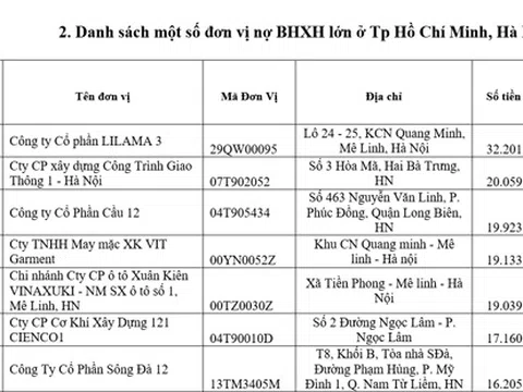 Công khai danh sách 20 DN nợ BHXH lớn tại Hà Nội và TP Hồ Chí Minh