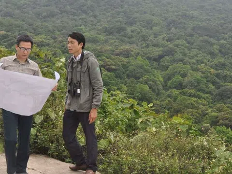 Loạt sai phạm trong các dự án trên bán đảo Sơn Trà: Đất biệt thự giá thuê chỉ 2.000 đồng/m2