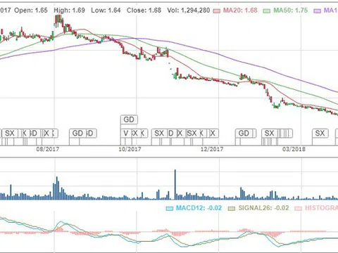 Bắt nữ Chủ tịch Khoáng sản Bình Thuận vì thao túng giá cổ phiếu