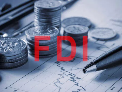 2019: Nên dành nguồn lực thanh tra, kiểm toán doanh nghiệp FDI và hoạt động quản lý đất công