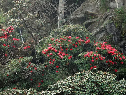 30/4 này, phải khám phá một Tây Bắc thật khác lạ