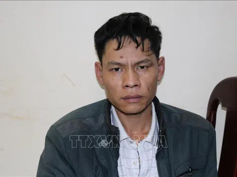 Vì Văn Toán là kẻ chủ mưu vụ nữ sinh giao gà bị sát hại ở Điện Biên
