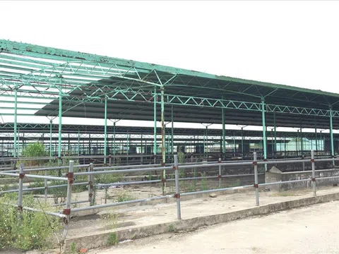 Bộ Công an yêu cầu định giá dự án chăn nuôi bò liên quan đến cha con ông Trần Bắc Hà