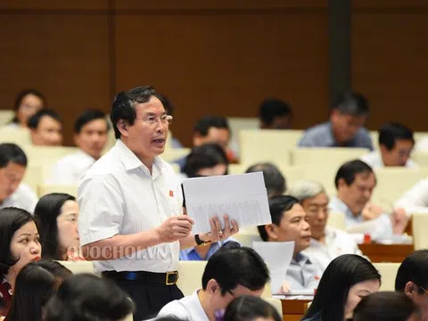 Vụ Trịnh Xuân Thanh, ông chủ Nhật Cường bỏ trốn làm “nóng” nghị trường