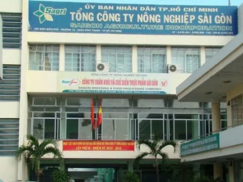 Tổng giám đốc SAGRI ký khống gần 20 tỷ đồng, liên tục vay hàng trăm tỷ để... gửi ngân hàng