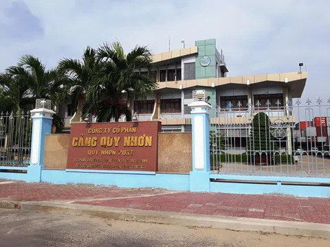 Vụ Cảng Quy Nhơn và đại án AVG dưới lăng kính Luật sư