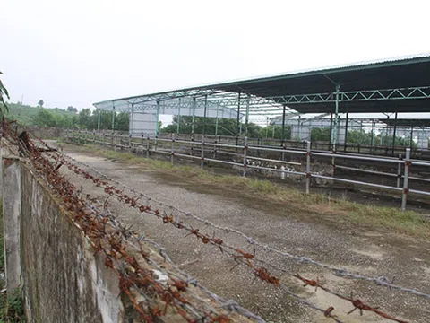 Nhìn lại quá trình phạm pháp của bố con ông Trần Bắc Hà: Truy nguyên nhân và rút ra những bài học