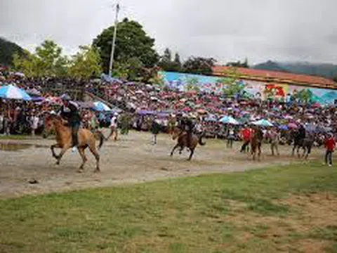 Chiêm ngưỡng những khoảnh khắc đẹp nhất từ giải đua ngựa Fansipan lần thứ nhất