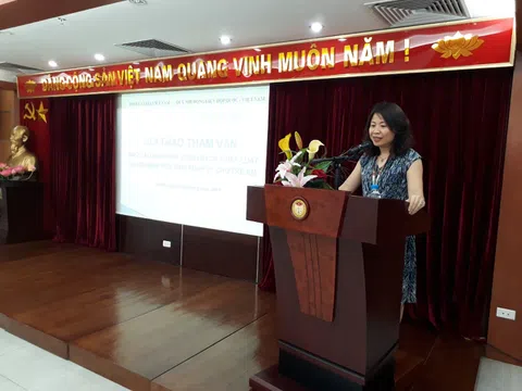 Hội thảo về Báo cáo đánh giá chính sách, pháp luật và mô hình trợ giúp pháp lý cho trẻ em