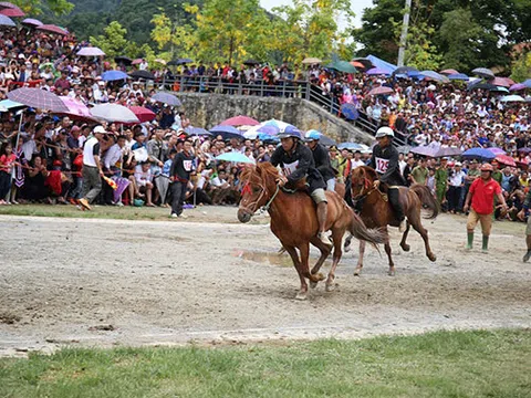 Săn mây Fansipan, cưỡi ngựa Tây Bắc- combo du lịch hoàn hảo tại Sa Pa hè này