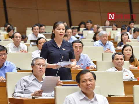 ĐBQH: Trào lưu “đập đá” trong giới trẻ đang là cơn lốc ngầm khủng khiếp