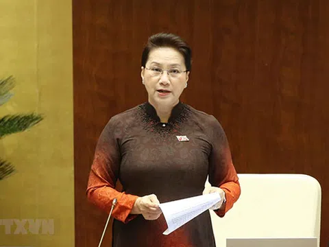 Chủ tịch Quốc hội: 'Xử phạt lái xe uống rượu, bia theo luật hiện hành'