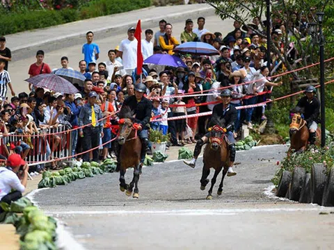Nắng nóng, du khách đổ về Fansipan tận hưởng tiết trời mát lạnh, thưởng thức giải đua “Vó ngựa trên mây”