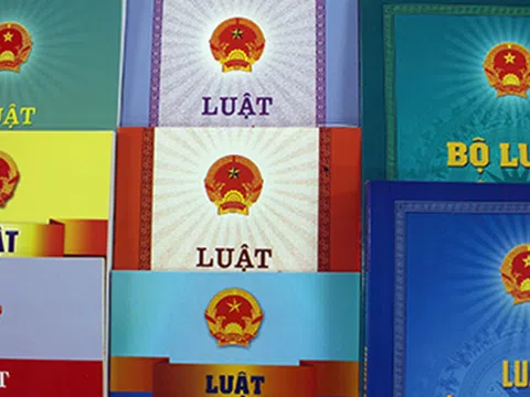 Thủ tướng phân công soạn thảo 14 dự án luật, pháp lệnh