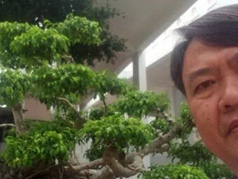 Khởi tố nguyên Trưởng phòng Tài nguyên và Môi trường huyện Côn Đảo