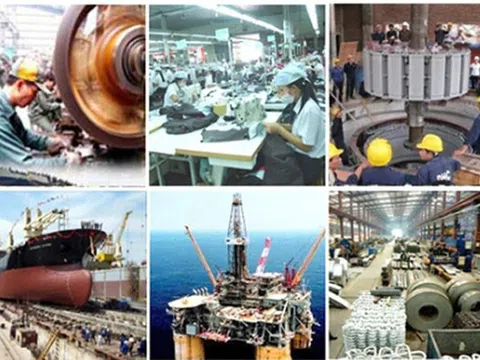 Công bố thông tin DNNN theo Nghị định số 81/2015/NĐ-CP