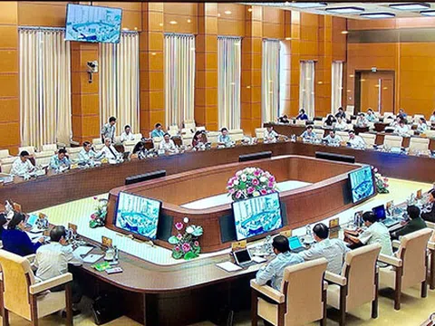 'Nên xem xét cho Kiểm toán Nhà nước được quyền xử phạt vi phạm hành chính theo Luật'