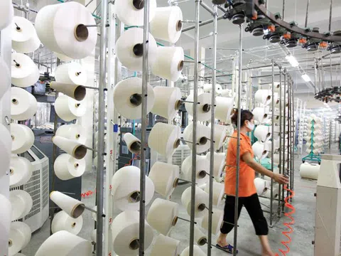 Lơ mơ, doanh nghiệp Việt liên tiếp dính kiện