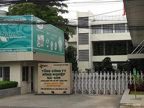 Thất thoát tài sản công: Giải pháp cấp bách nào để ngăn chặn?