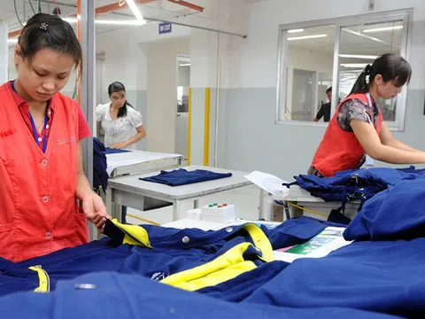 EVFTA là áp lực, là động lực để doanh nghiệp phát triển