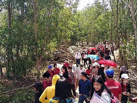 Bộ Công an yêu cầu điều tra sai phạm của Công ty Alibaba