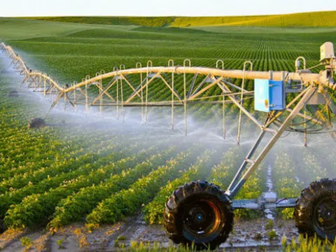 Mỗi ngày trung bình có gần 380 doanh nghiệp thành lập mới