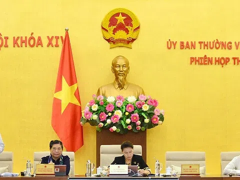 Luật hóa quy định phát hành trái phiếu riêng lẻ của doanh nghiệp không phải công ty đại chúng?