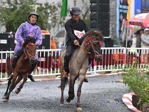 Chất Tây Bắc sống động khiến du khách thích thú với Giải đua ngựa tại  Fansipan