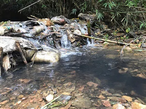 Khởi tố vụ đổ dầu thải làm ô nhiễm nguồn nước ở sông Đà