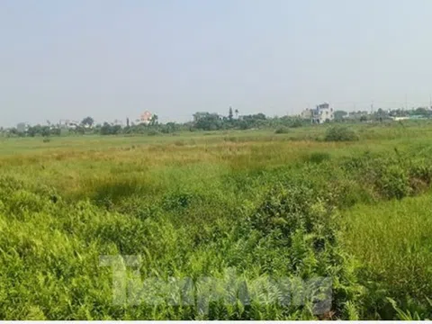 Bắt tạm giam 2 cán bộ ngân hàng liên quan đến đấu giá đất