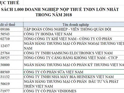 1000 DN nộp thuế lớn nhất 2018: Chủ yếu là DN ngoài quốc doanh
