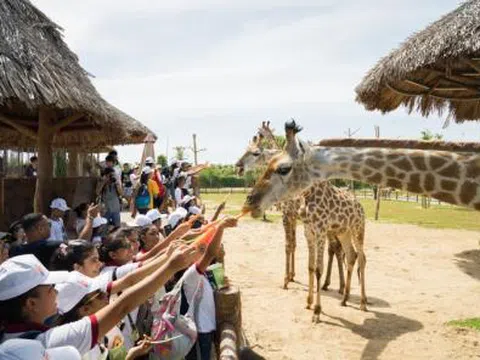 Người dân miền Trung, Tây Nam Bộ tận hưởng ưu đãi chưa từng có từ Vinpearl Land & Safari