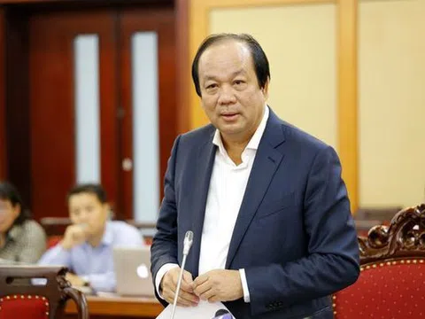 DN nước ngoài giả mạo xuất xứ Việt Nam xuất sang Mỹ, EU tăng đột biến