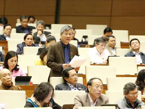 Kiểm soát rủi ro, đảm bảo cạnh tranh lành mạnh, thu hút các nhà đầu tư​