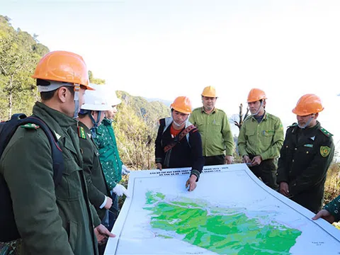 Diễn tập phòng cháy chữa cháy rừng cấp độ 2 tại Vườn quốc gia Hoàng Liên